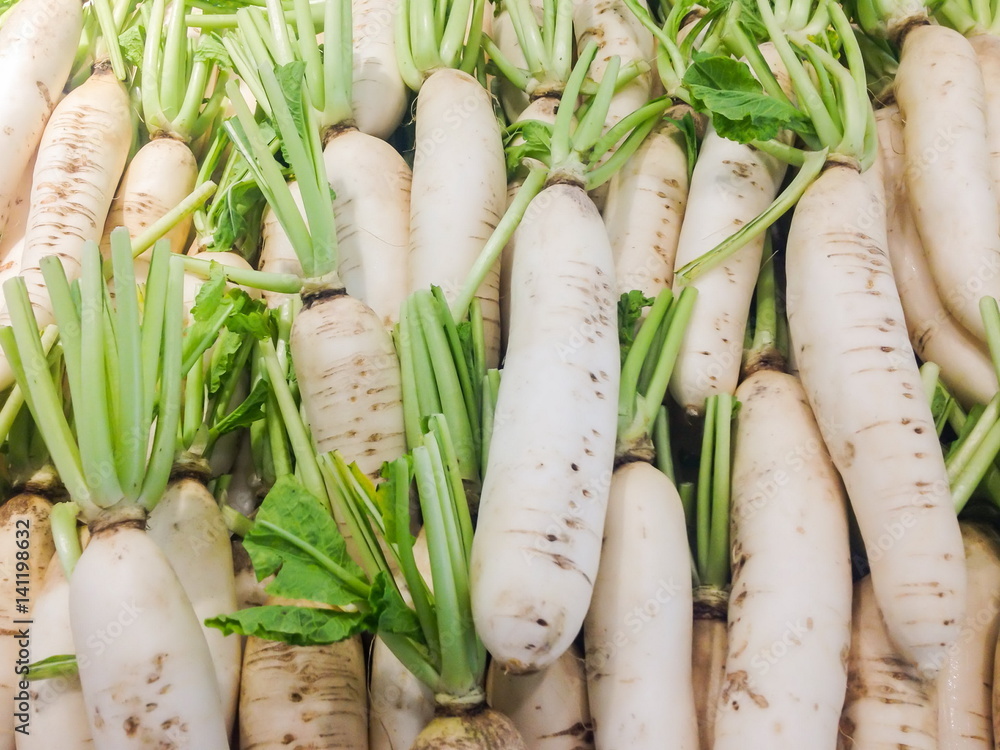 White radish