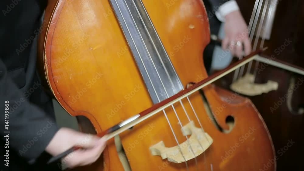 Contrabass fiddlestick strings play. Close-up Contrabass fiddlestick strings play. Close-up