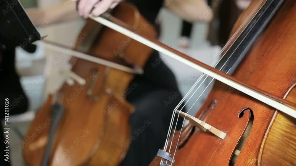 close-up view on violoncello in orchestra close-up view on violoncello in orchestra