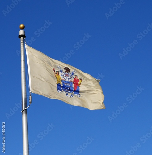 New Jersey State flag waving