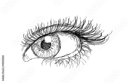Hand drawn female eye vector