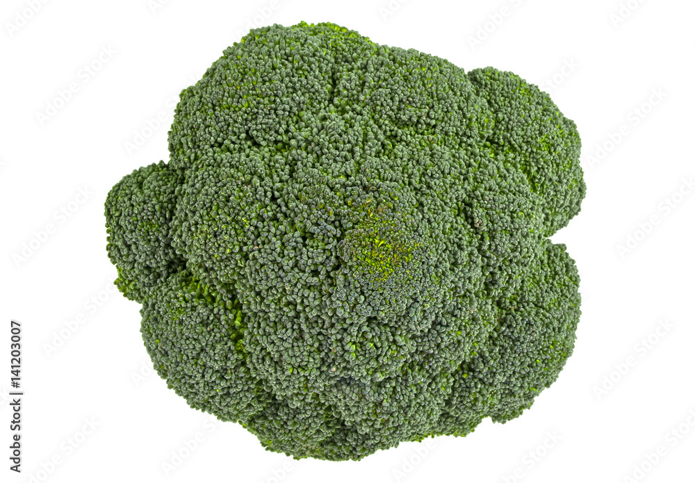 Fresh broccoli isolated on white background Fresh broccoli isolated on white background