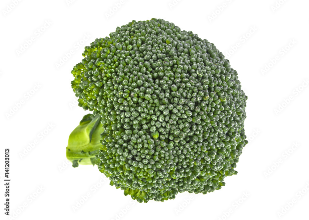 Fresh broccoli isolated on white background Fresh broccoli isolated on white background