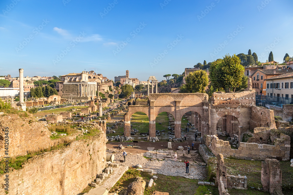Rome, Italy. The ruins of Roman Forum: Column of Phocas, Temple of Antoninus and Faustina, Honored Columns, Sacred Road, Temple of Castor and Pollux, Basilica of Julius, Palatine Hill