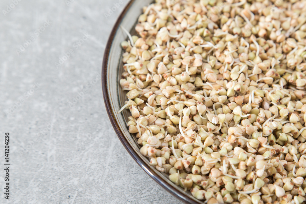 Fresh Green Buckwheat Sprouts in the spoon Closeup. Raw Healthy Vegan Organic Diet. Healthy Vegetarian Eco Food concept, Dieting Fresh Green Buckwheat Sprouts in the spoon Closeup. Raw Healthy Vegan Organic Diet. Healthy Vegetarian Eco Food concept, Dieting