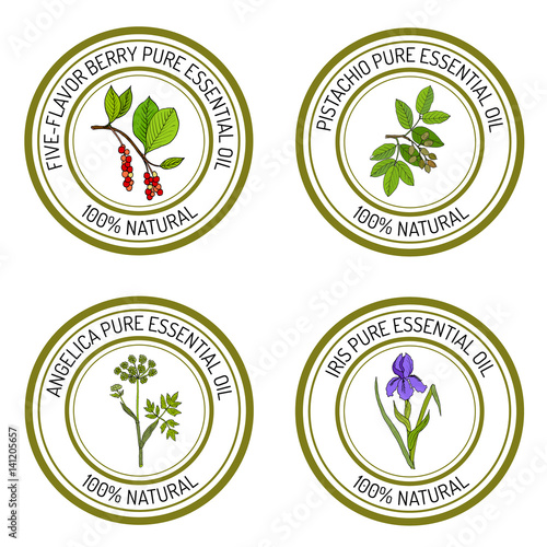 Set of essential oil labels angelica, iris, pistachio, five-flavor-berry