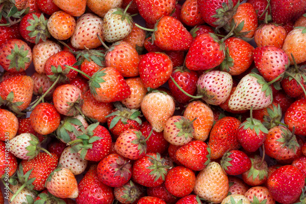 fresh ripe red strawberry background fresh ripe red strawberry background