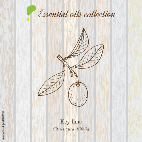 Pure essential oil collection, lime. Wooden texture background