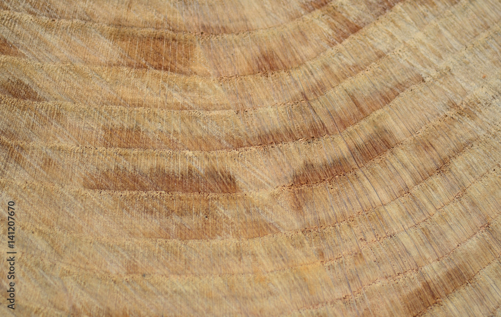 Fototapeta premium Hintergrund