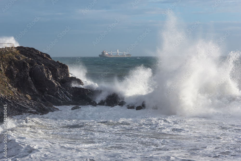Fototapeta premium Mareggiata e onde sugli scogli