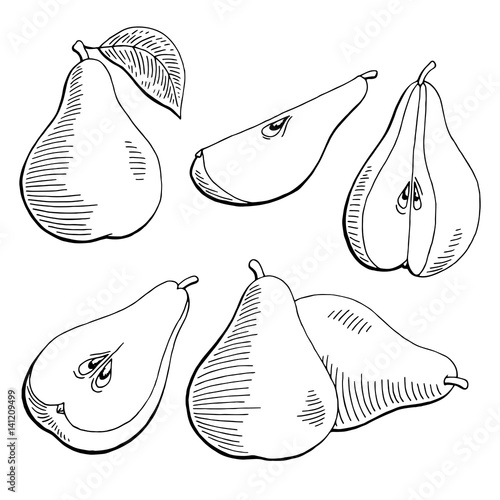 Pear fruit graphic black white isolated sketch illustration vector