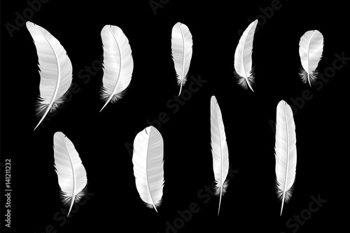 Set of various white bird feathers on a black background.
