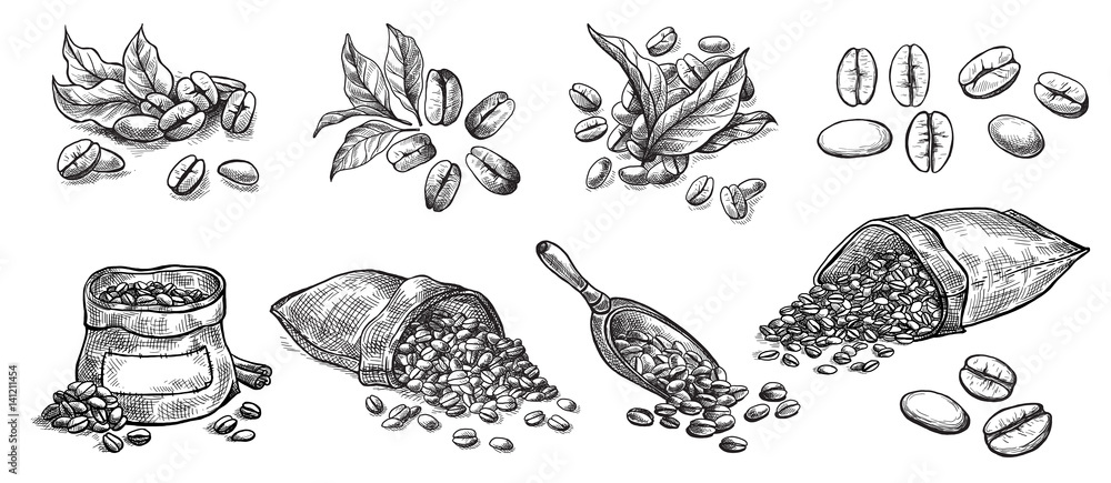 Coffee Beans Cover Design Set Stock Illustration - Download Image