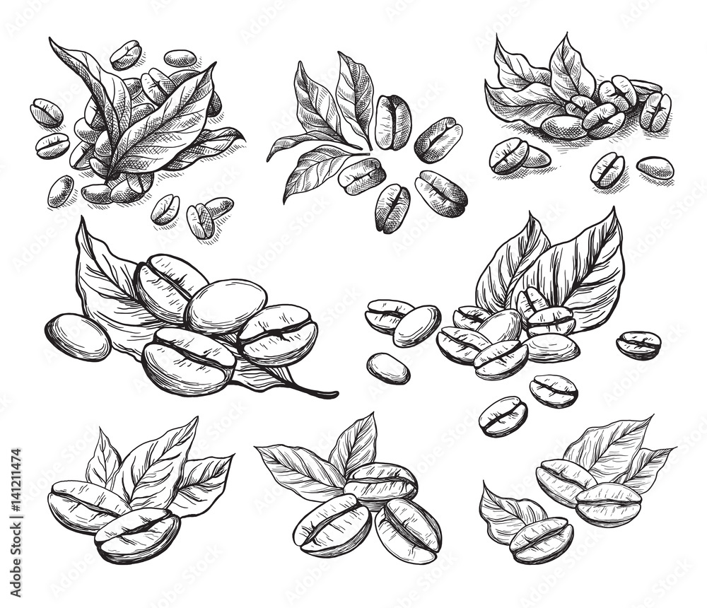 coffee grains and leaves in graphic style hand-drawn vector illustration. - obrazy, fototapety, plakaty 