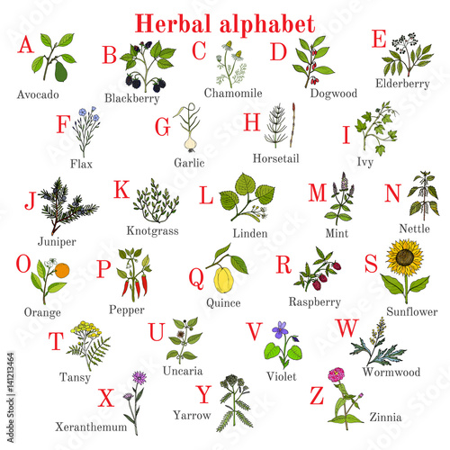 Herbal alphabet, herbs and plants collection