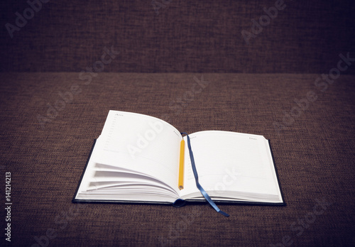 Diary and pen on the couch
