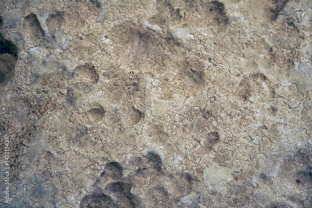 The cavernous globigerina limestone injured by the severe weathering, Malta