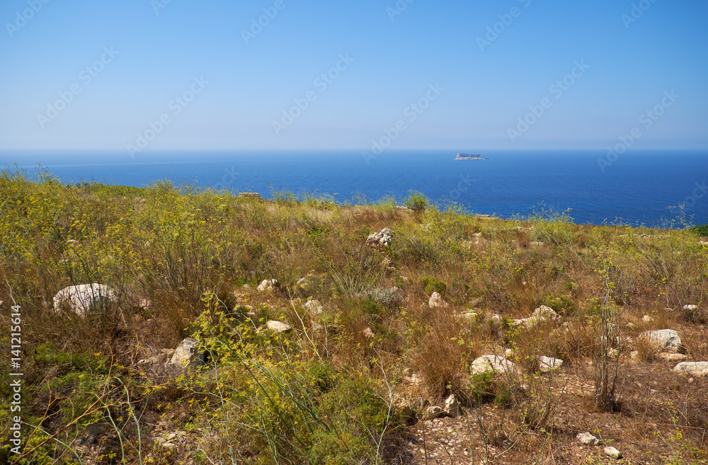 The view of Qrendi coast with the  Filfla islet on the background.