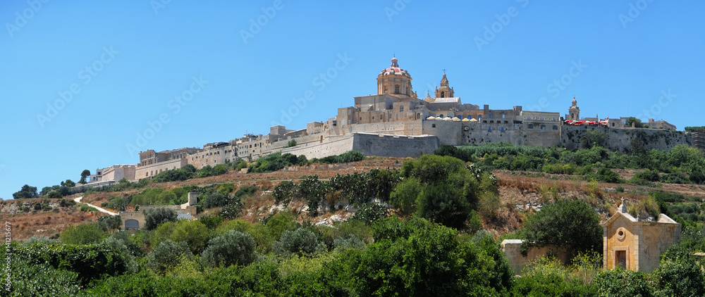 Panorama of Mdina's St. Paul's Cathedral from the countryside below, Malta