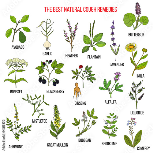 Natural herbs for cough remedies