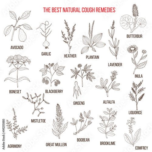 Natural herbs for cough remedies