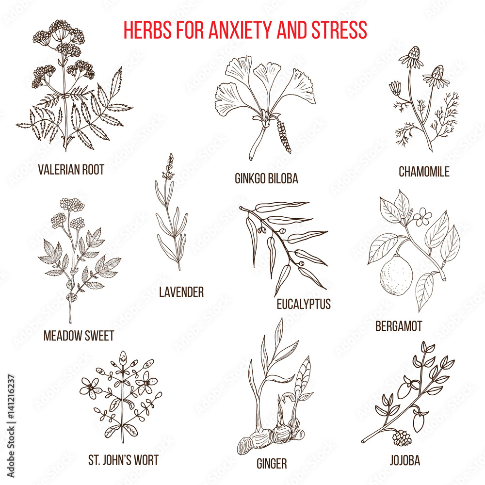 Anxiety treatment herbs collection Anxiety treatment herbs collection