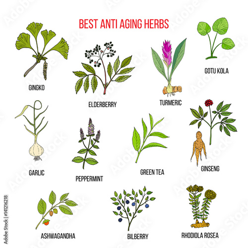 Collection of anti aging herbs