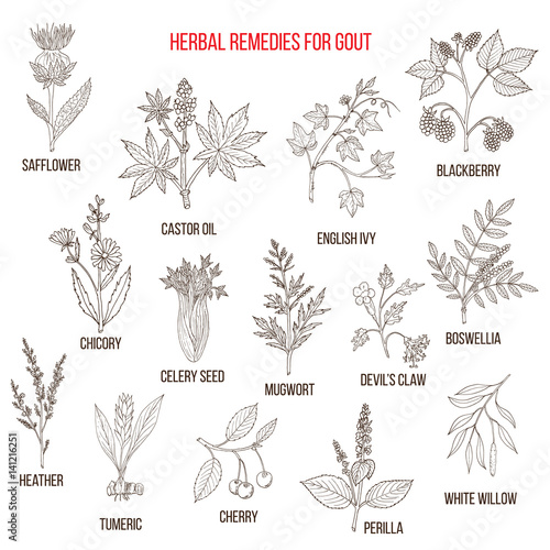 Collection of natural herbs for gout