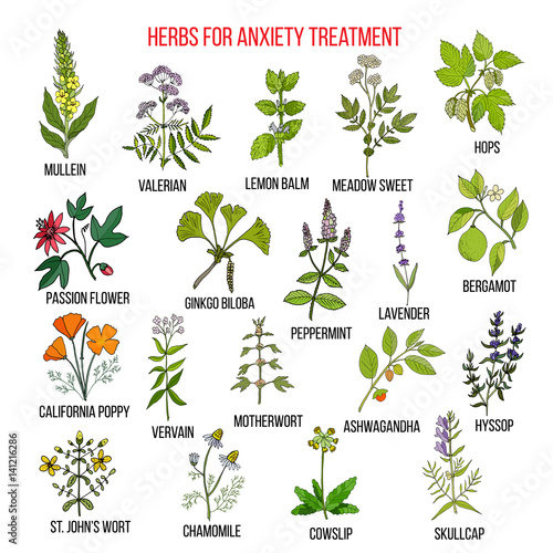 Collection of herbs for anxiety treatment
