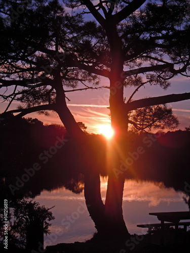 Lac du Ter, Bretagne, France