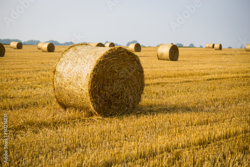 Rolls of haystacks on the field. Summer farm scenery with haystack on the Background of beautiful sunset. Agriculture Concept.Harvest concept