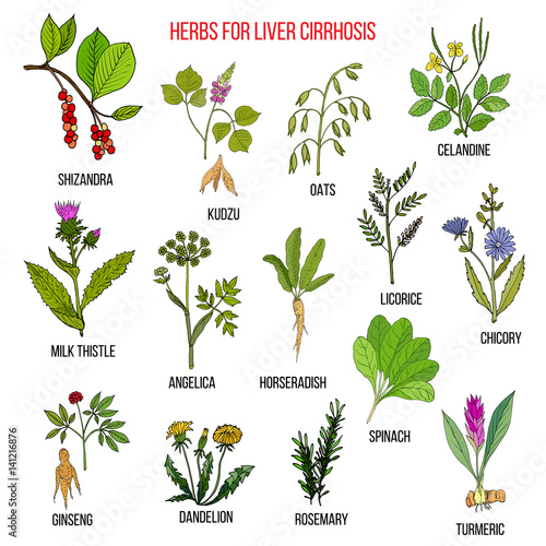Best herbal remedies for liver cirrosis