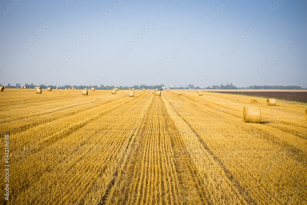 Rolls of haystacks on the field. Summer farm scenery with haystack on the Background of beautiful sunset. Agriculture Concept.Harvest concept