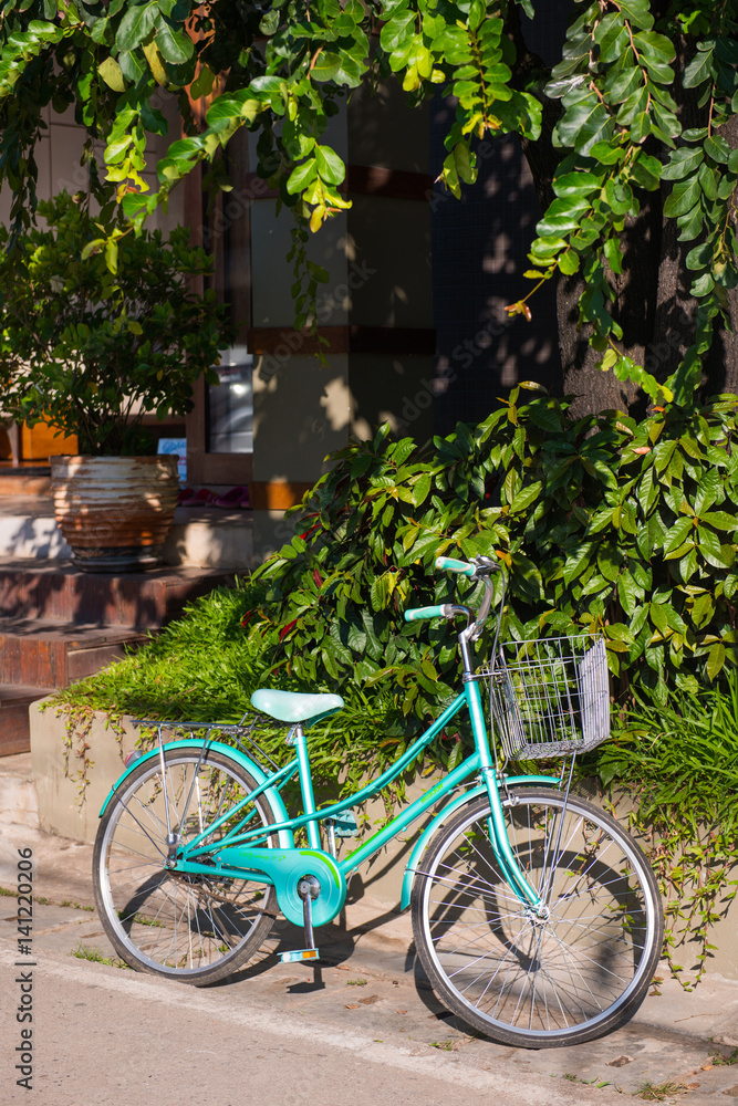 green bicycle parked beside the house
