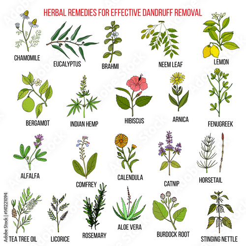 Best herbal remedies for effective dandruff removal