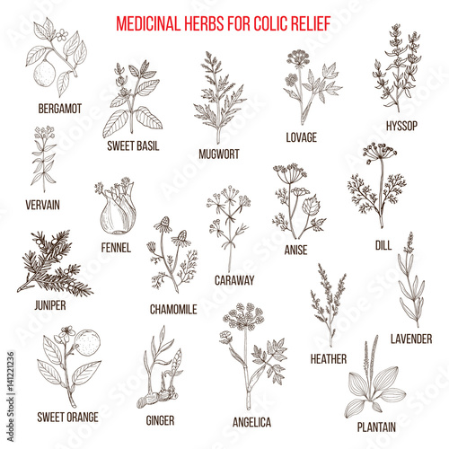 Fototapeta Naklejka Na Ścianę i Meble -  Best herbal remedies for colic relief