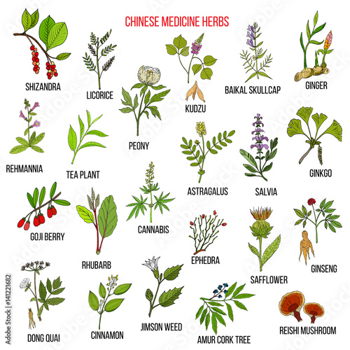 Chinese medicinal herbs photo