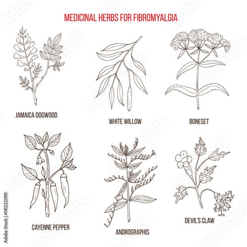 Best herbal remedies for fibromyalgia