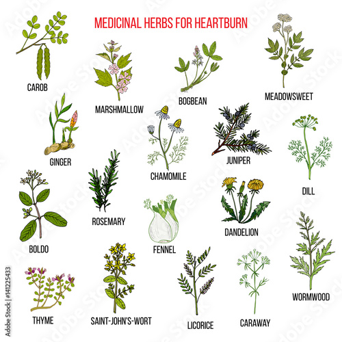 Best herbal remedies for heartburn