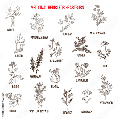 Best herbal remedies for heartburn