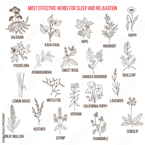 Photos Best herbal remedies for sleep and relaxation