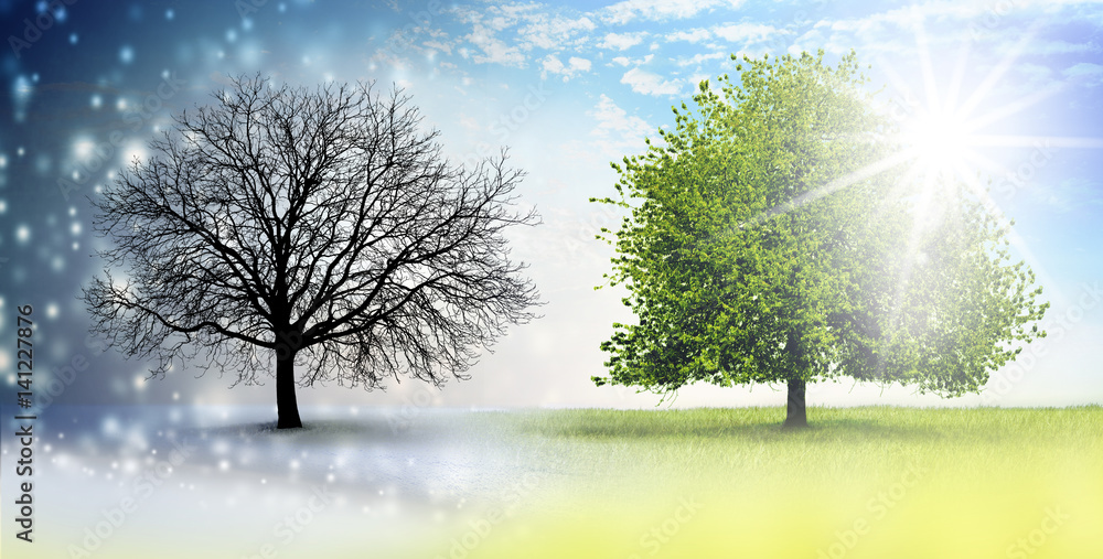 Winter Sommer Stock Foto Adobe Stock Winter Sommer Stock Foto Adobe Stock