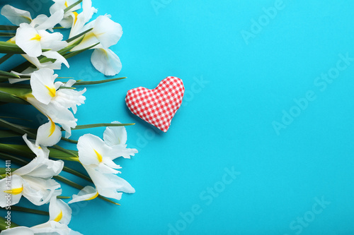 Fototapeta Naklejka Na Ścianę i Meble -  White iris flowers on blue background