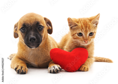 Fototapeta Naklejka Na Ścianę i Meble -  Puppy and kitten with heart.