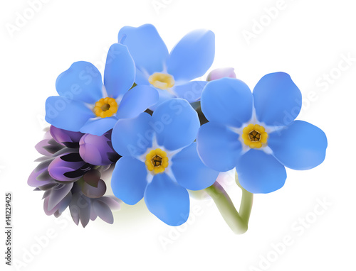Forget-me-not. Myosotis.
Hand drawn vector illustration of blue spring flowers with yellow center on white background.
