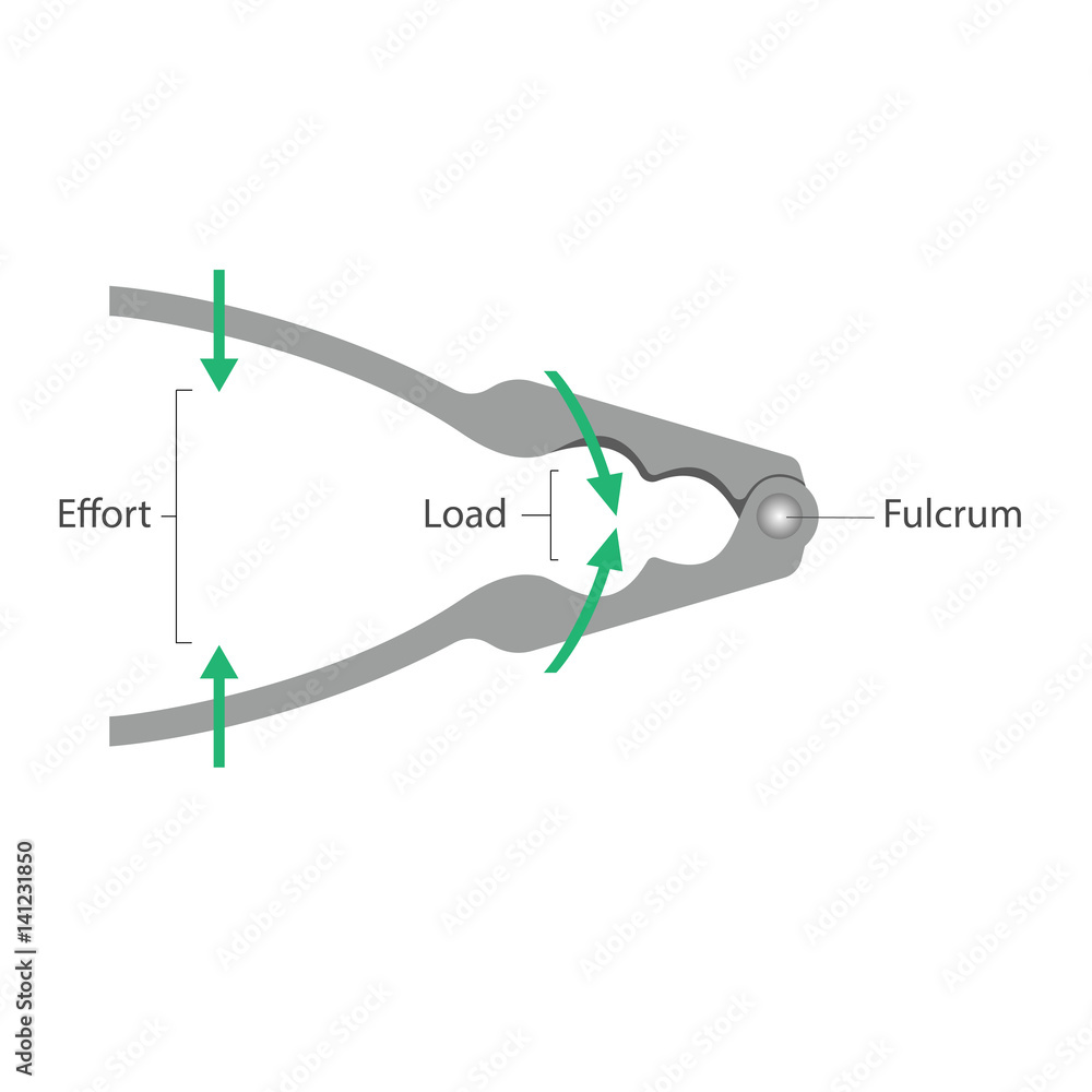 Simple machines Lever Nutcracker Stock Vector Adobe Stock