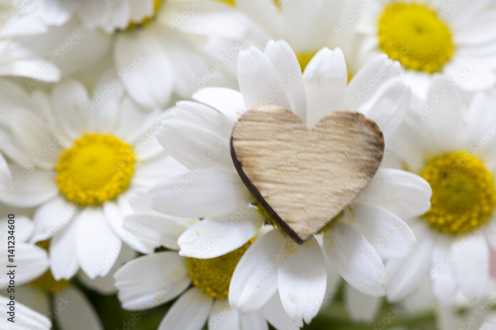 Obraz premium Daisy and Heart