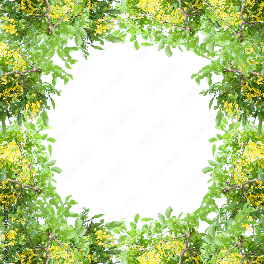 Green leaf and flower frame isolated on white background. Green leaf and flower frame isolated on white background.