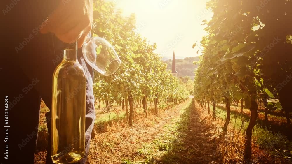 custom made wallpaper toronto digitalVineyards with man walking on field with bottle of white wine for picnic