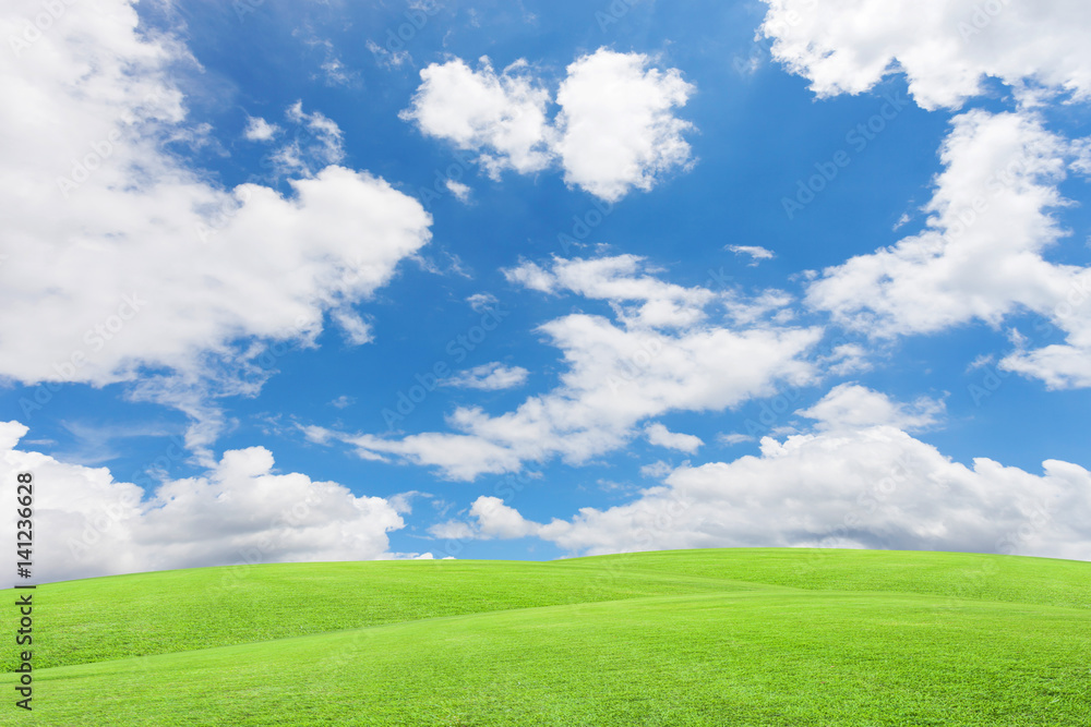Green grass field and beautiful blue sky with clouds background. Green grass field and beautiful blue sky with clouds background.